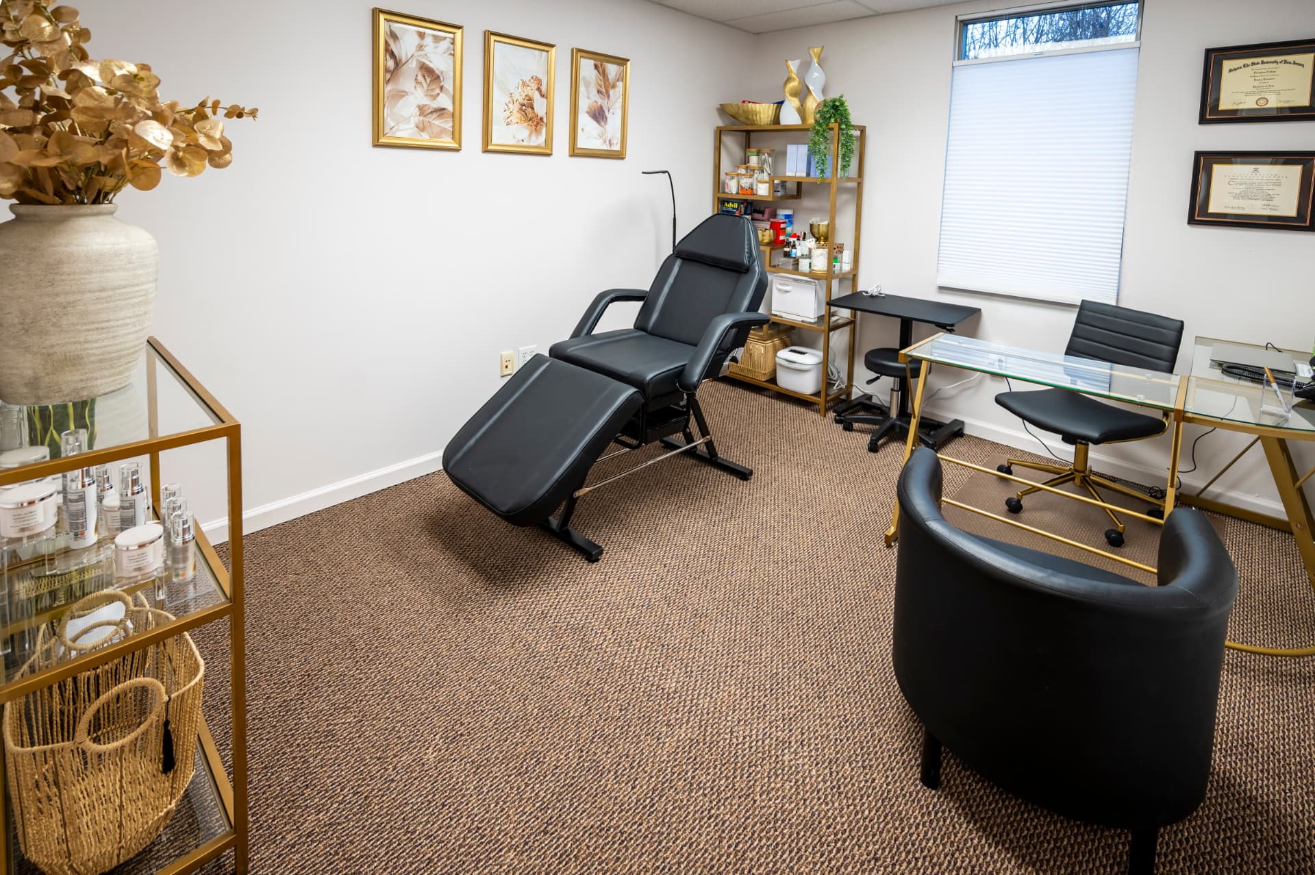 Lower level professional treatment suite